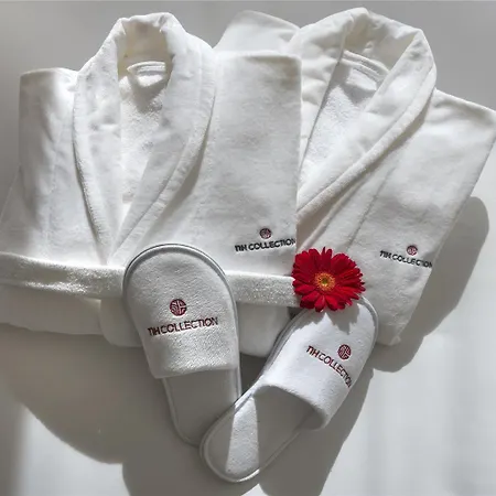 Nh Collection Plaza Mayor 4* León