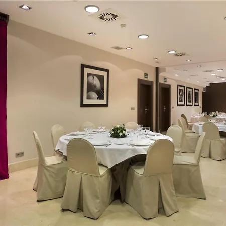 Hotel Nh Collection Plaza Mayor 4*