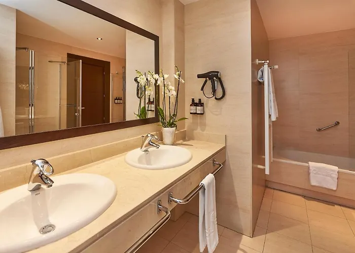 Nh コレクション プラサ マヨール