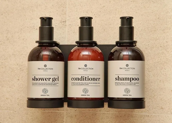 호텔 Nh Collection Plaza Mayor 4*