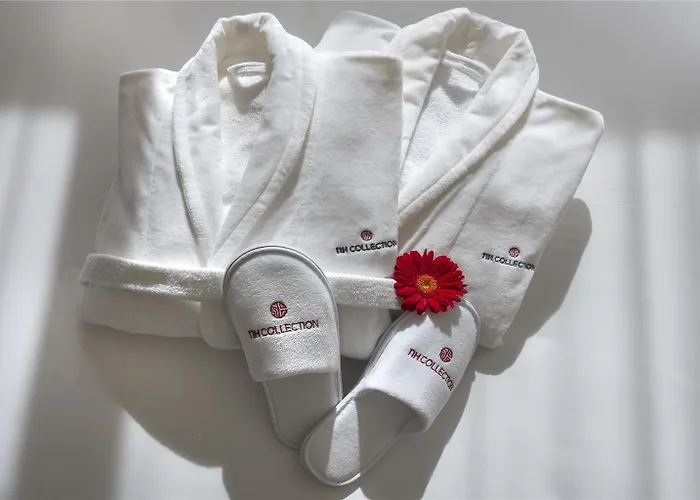 Nh コレクション プラサ マヨール 4* レオン